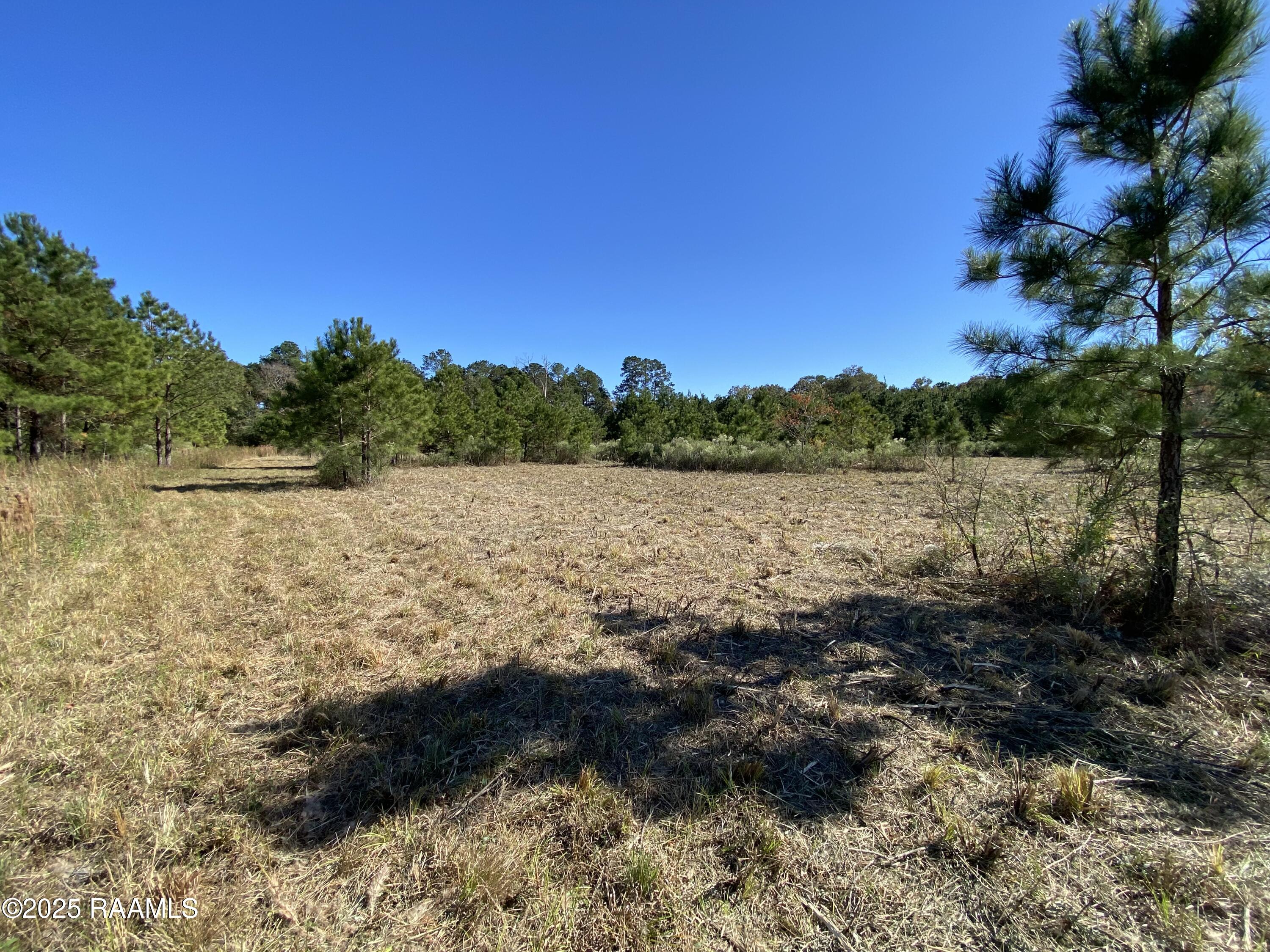 Tbd Tbd Wesdale Crowley, LA 70526 - Photo 3 of 8 4. IMG_3153