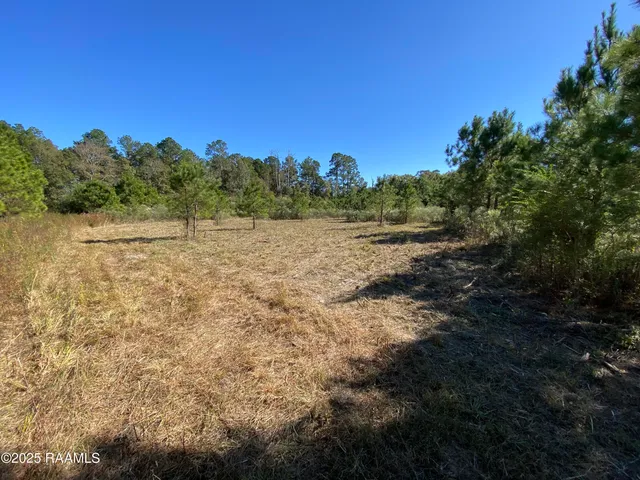 $44,000 | Tbd Tbd Wesdale, Crowley, LA 70526