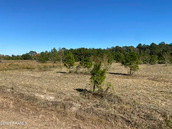 $44,000 | Tbd Tbd Wesdale, Crowley, LA 70526
