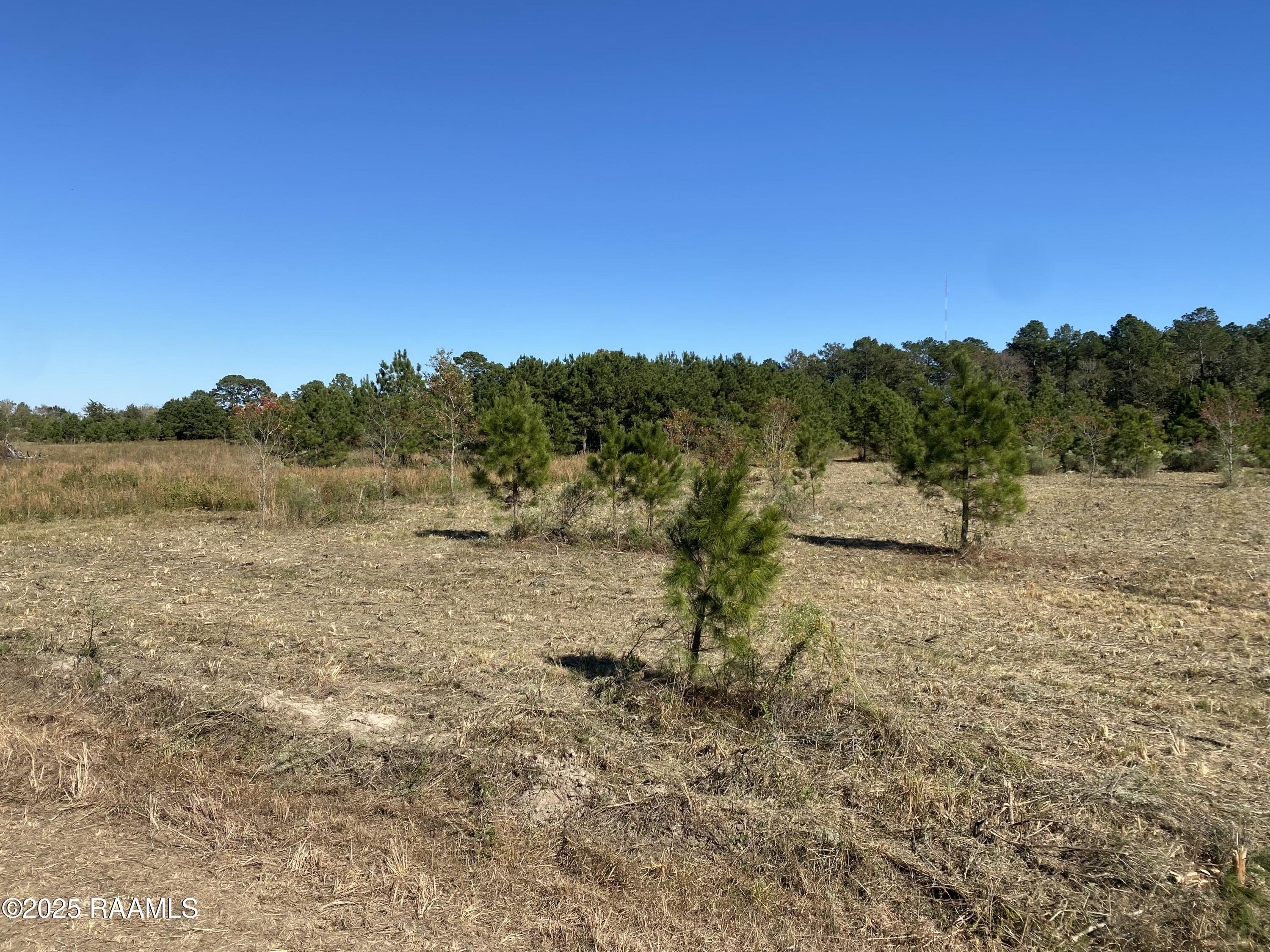 Tbd Tbd Wesdale Crowley, LA 70526 - Photo 7 of 8 9. IMG_3172 2