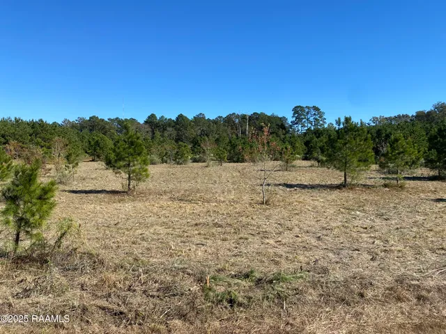 $44,000 | Tbd Tbd Wesdale, Crowley, LA 70526