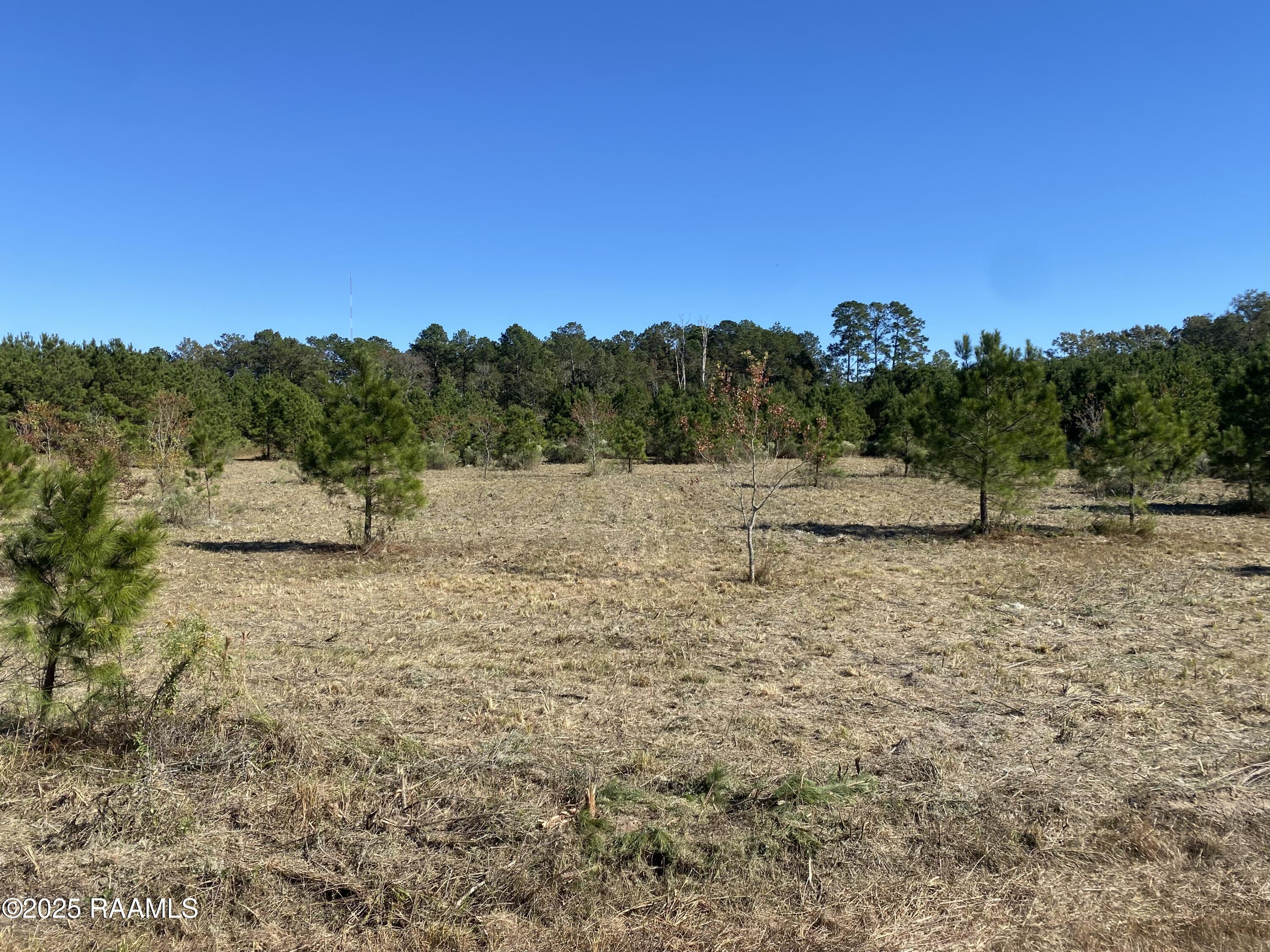 Tbd Tbd Wesdale Crowley, LA 70526 - Photo 8 of 8 10. IMG_3173