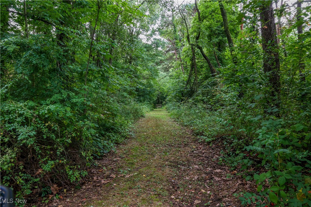 3181 Dover Road Wooster, OH 44691 - Photo 23 of 25 View of landscape