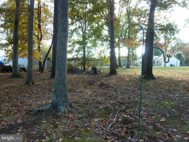 601 Johnson Road Sicklerville, NJ 08081 - Photo 22 of 24 Back Yard