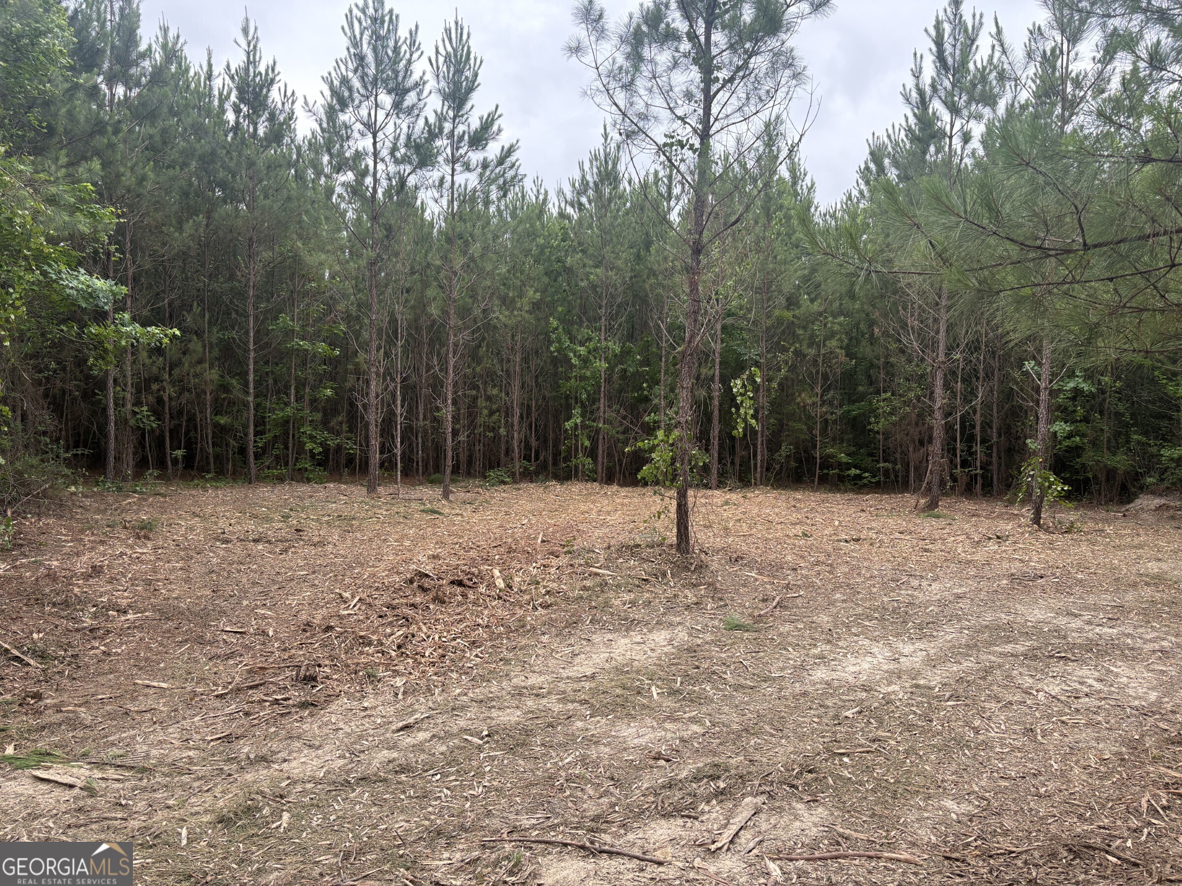 L9 North Indian Trail Road Sandersville, GA 31082 - Photo 12 of 19