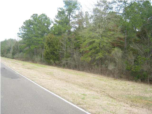 0 Tisdale Road Madison, MS 39110 - Photo 2 of 4 Photo 2