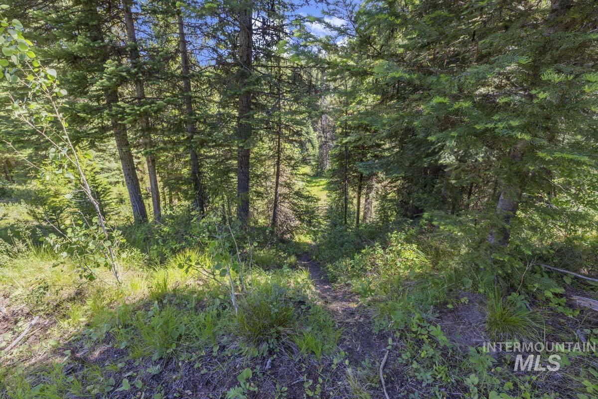178 Tripod View Drive Cascade, ID 83611 - Photo 6 of 35