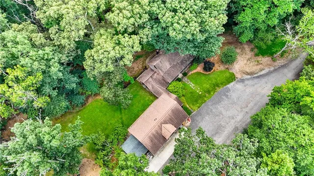 a picture of flowers