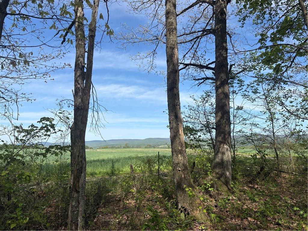 Lot 3-4 Killarney Road Mill Run, PA 15464 - Photo 4 of 29 potential view
