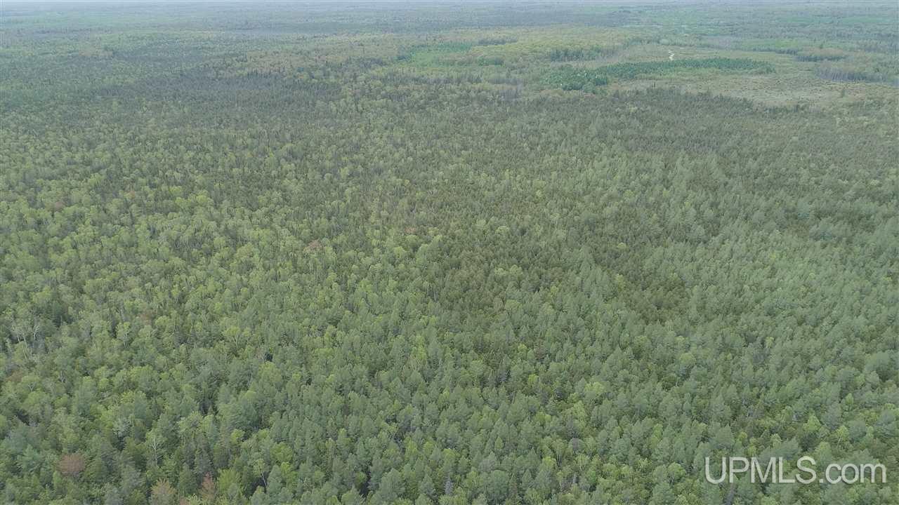 2 Rd Rock Mi 49880 Road Rock, MI 49880 - Photo 3 of 39