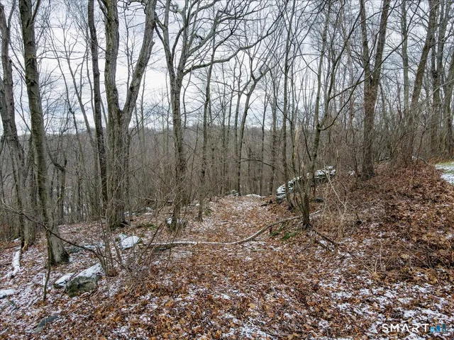 a view of outdoor space with lots of trees