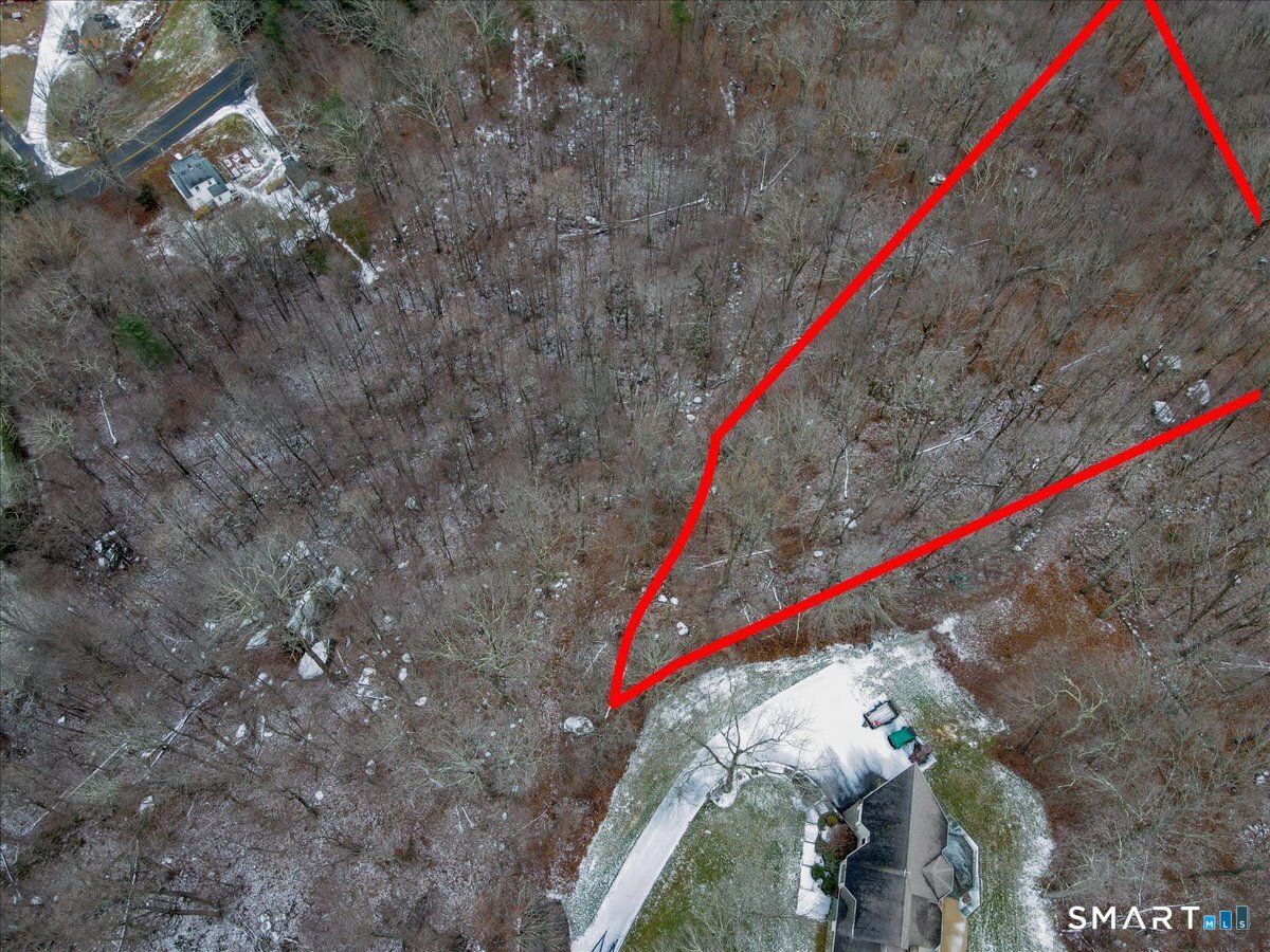 574 Washington Road Plymouth, CT 06786 - Photo 2 of 15 a close up of a palm tree