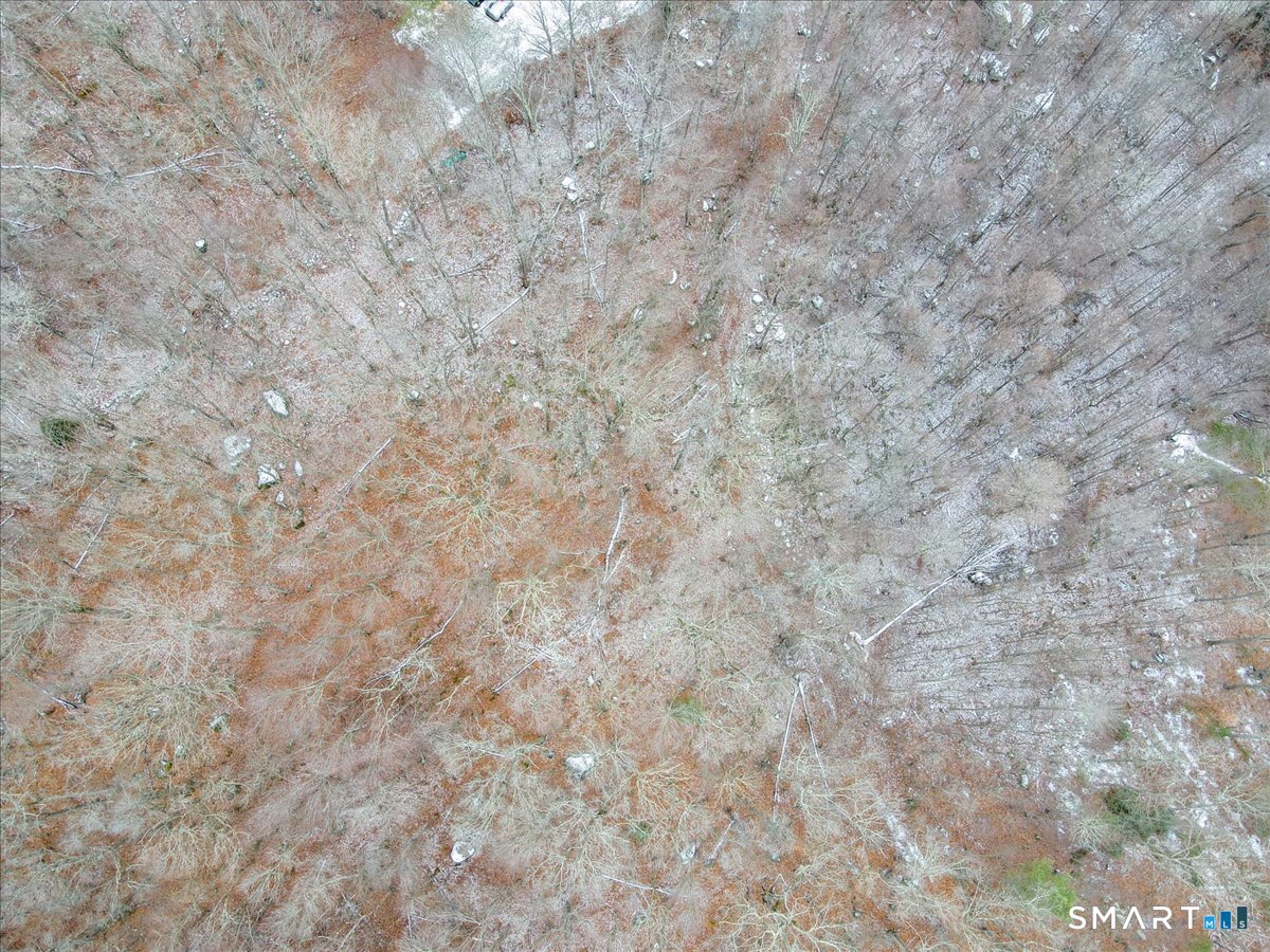 574 Washington Road Plymouth, CT 06786 - Photo 7 of 15 a close up of a white marble wall