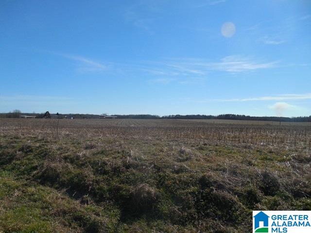 0 Curry Station Road, Unit 1 Munford, AL 36268 - Photo 1 of 14