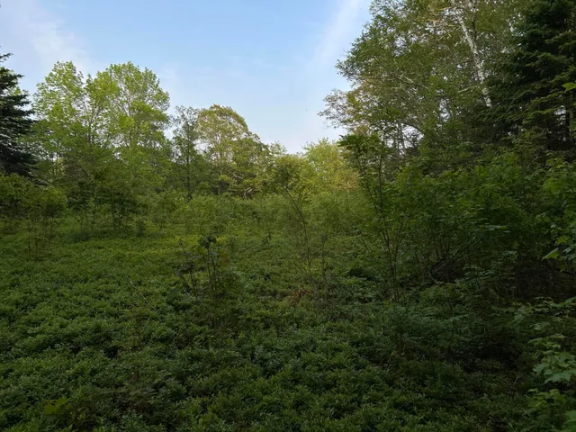 $249,000 | M6-l54 Bristol Road, Bristol, ME 04539