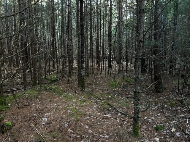 $249,000 | M6-l54 Bristol Road, Bristol, ME 04539