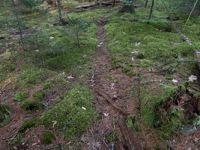 $249,000 | M6-l54 Bristol Road, Bristol, ME 04539