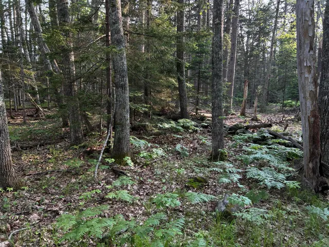 $249,000 | M6-l54 Bristol Road, Bristol, ME 04539