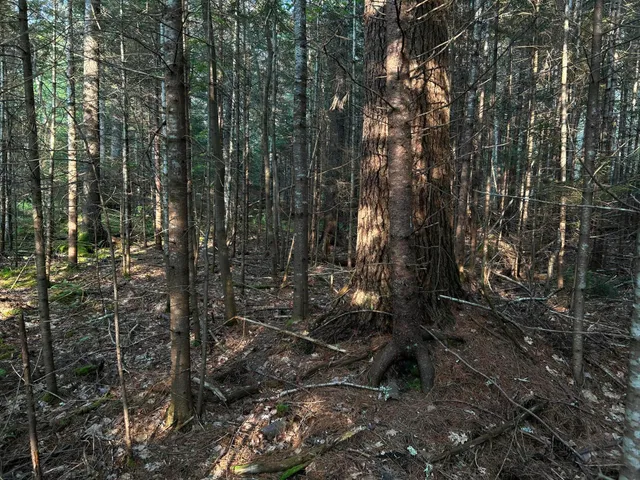 $249,000 | M6-l54 Bristol Road, Bristol, ME 04539