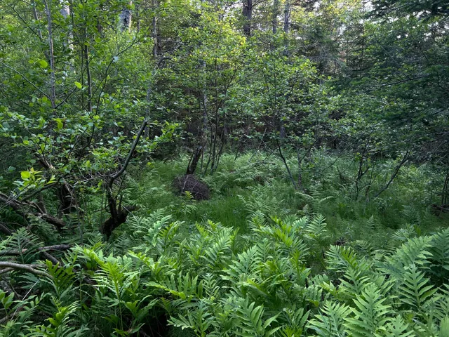 $249,000 | M6-l54 Bristol Road, Bristol, ME 04539