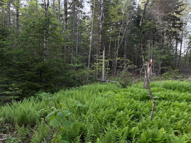 $249,000 | M6-l54 Bristol Road, Bristol, ME 04539