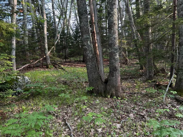 $249,000 | M6-l54 Bristol Road, Bristol, ME 04539