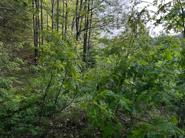 $249,000 | M6-l54 Bristol Road, Bristol, ME 04539