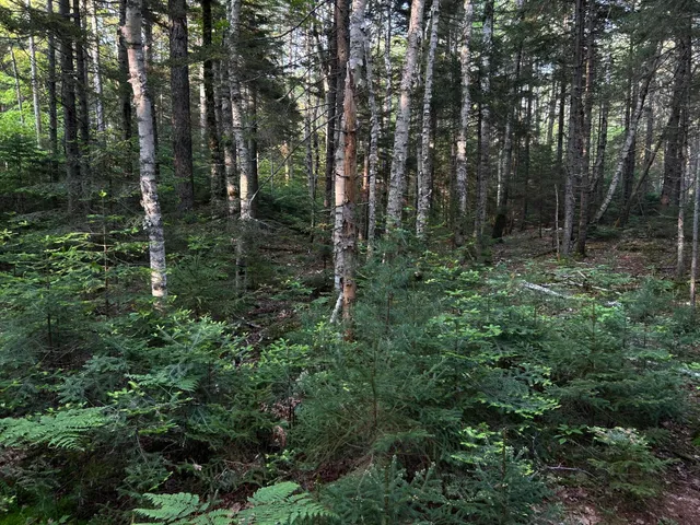 $249,000 | M6-l54 Bristol Road, Bristol, ME 04539