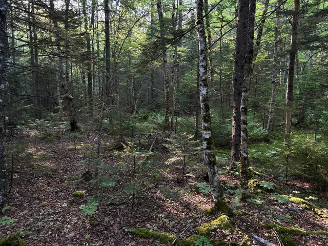 $249,000 | M6-l54 Bristol Road, Bristol, ME 04539