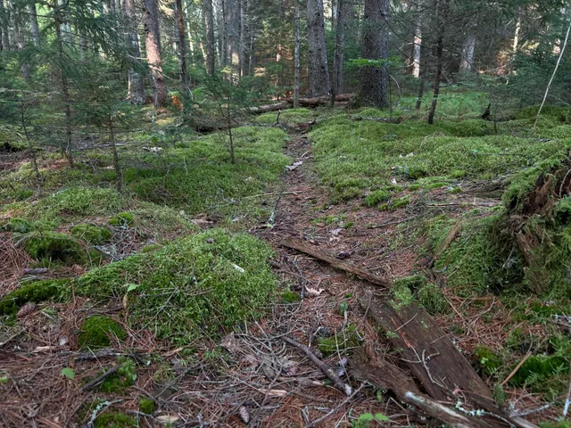 $249,000 | M6-l54 Bristol Road, Bristol, ME 04539