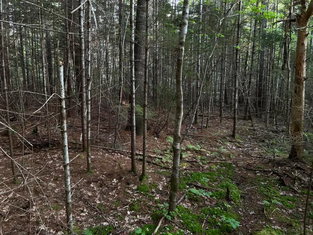 $249,000 | M6-l54 Bristol Road, Bristol, ME 04539