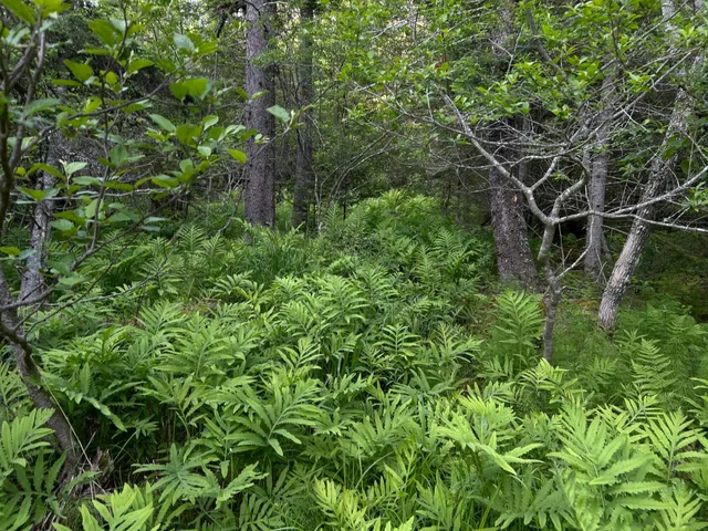 $249,000 | M6-l54 Bristol Road, Bristol, ME 04539