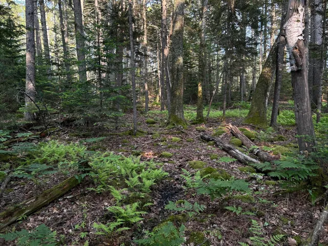 $249,000 | M6-l54 Bristol Road, Bristol, ME 04539