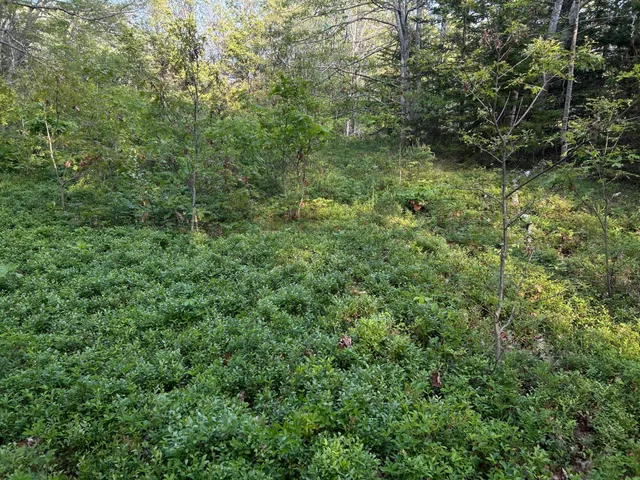 $249,000 | M6-l54 Bristol Road, Bristol, ME 04539