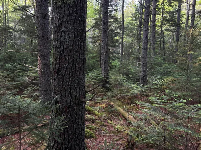 $249,000 | M6-l54 Bristol Road, Bristol, ME 04539