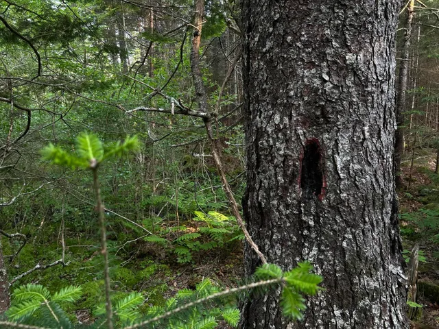 $249,000 | M6-l54 Bristol Road, Bristol, ME 04539