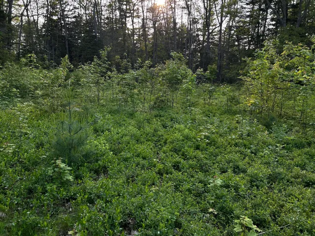 $249,000 | M6-l54 Bristol Road, Bristol, ME 04539