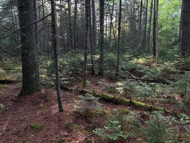 $249,000 | M6-l54 Bristol Road, Bristol, ME 04539