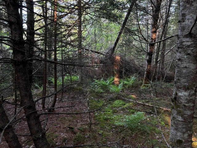 $249,000 | M6-l54 Bristol Road, Bristol, ME 04539