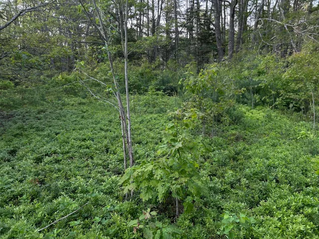 $249,000 | M6-l54 Bristol Road, Bristol, ME 04539