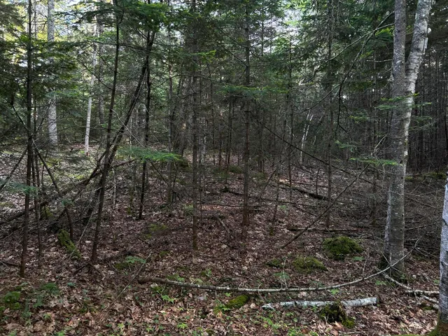 $249,000 | M6-l54 Bristol Road, Bristol, ME 04539