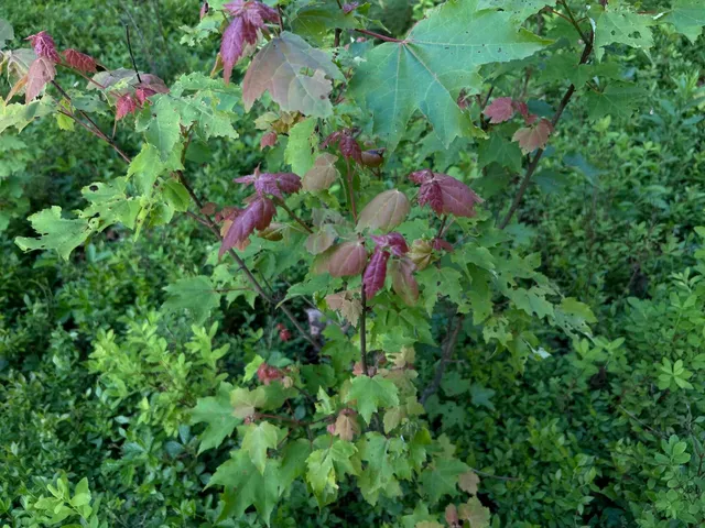 $249,000 | M6-l54 Bristol Road, Bristol, ME 04539