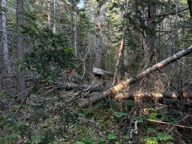 $249,000 | M6-l54 Bristol Road, Bristol, ME 04539