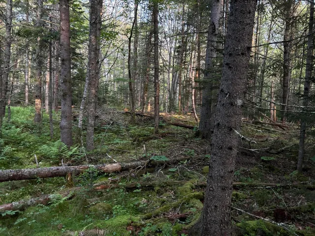 $249,000 | M6-l54 Bristol Road, Bristol, ME 04539