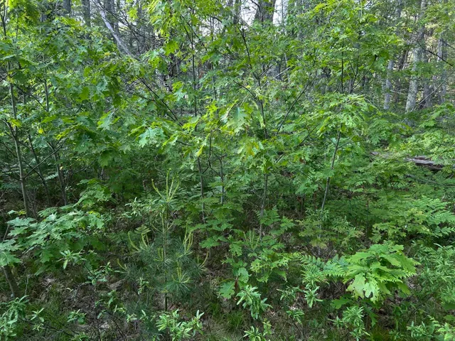 $249,000 | M6-l54 Bristol Road, Bristol, ME 04539