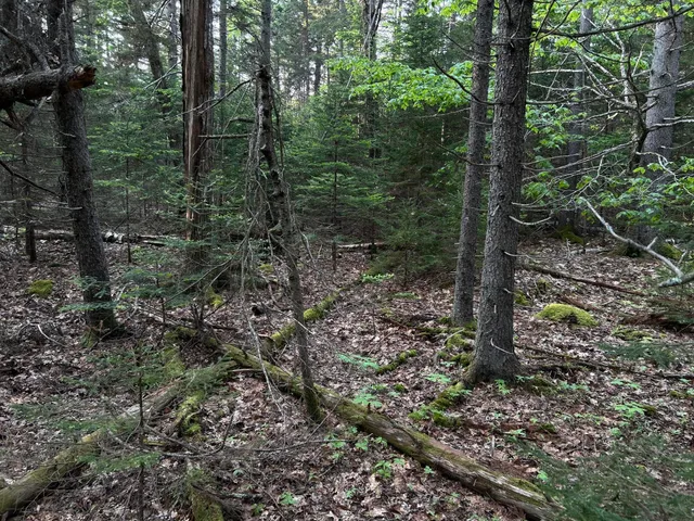 $249,000 | M6-l54 Bristol Road, Bristol, ME 04539