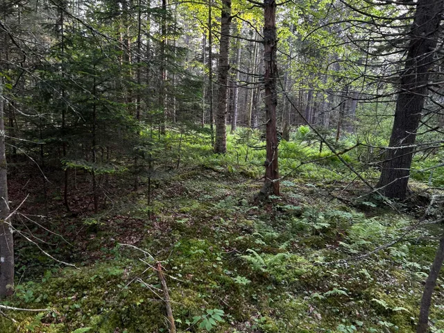 $249,000 | M6-l54 Bristol Road, Bristol, ME 04539