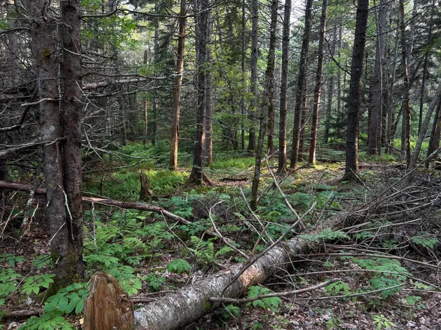 $249,000 | M6-l54 Bristol Road, Bristol, ME 04539