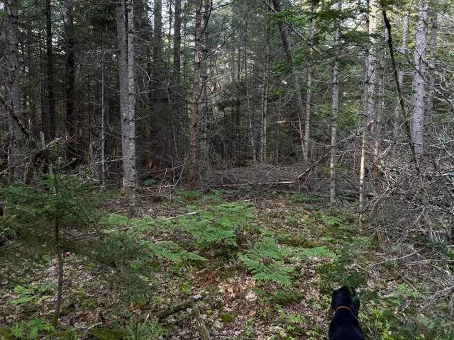 $249,000 | M6-l54 Bristol Road, Bristol, ME 04539