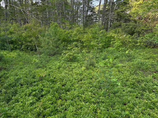 $249,000 | M6-l54 Bristol Road, Bristol, ME 04539